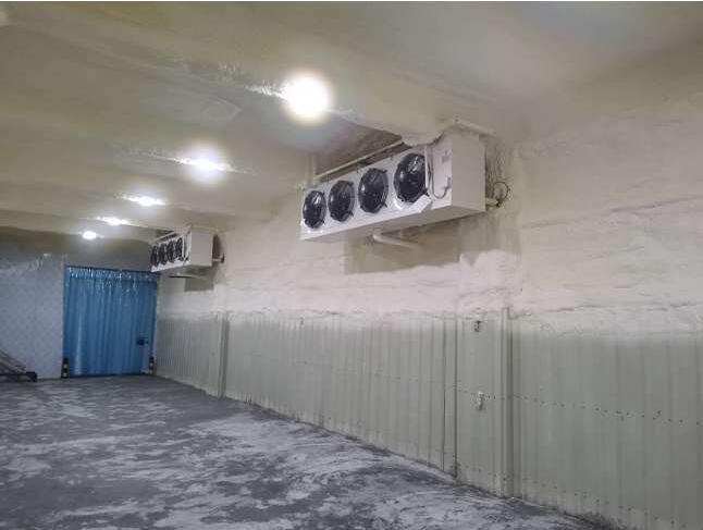 建一個冷庫多少錢