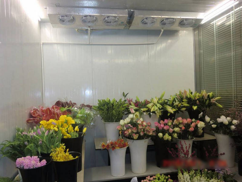 鮮花冷庫(kù)怎樣保鮮鮮花？是用風(fēng)冷還是直冷？